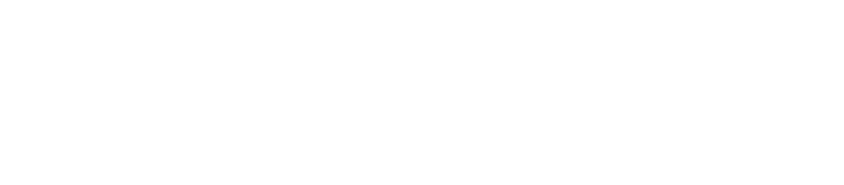 IntRpret